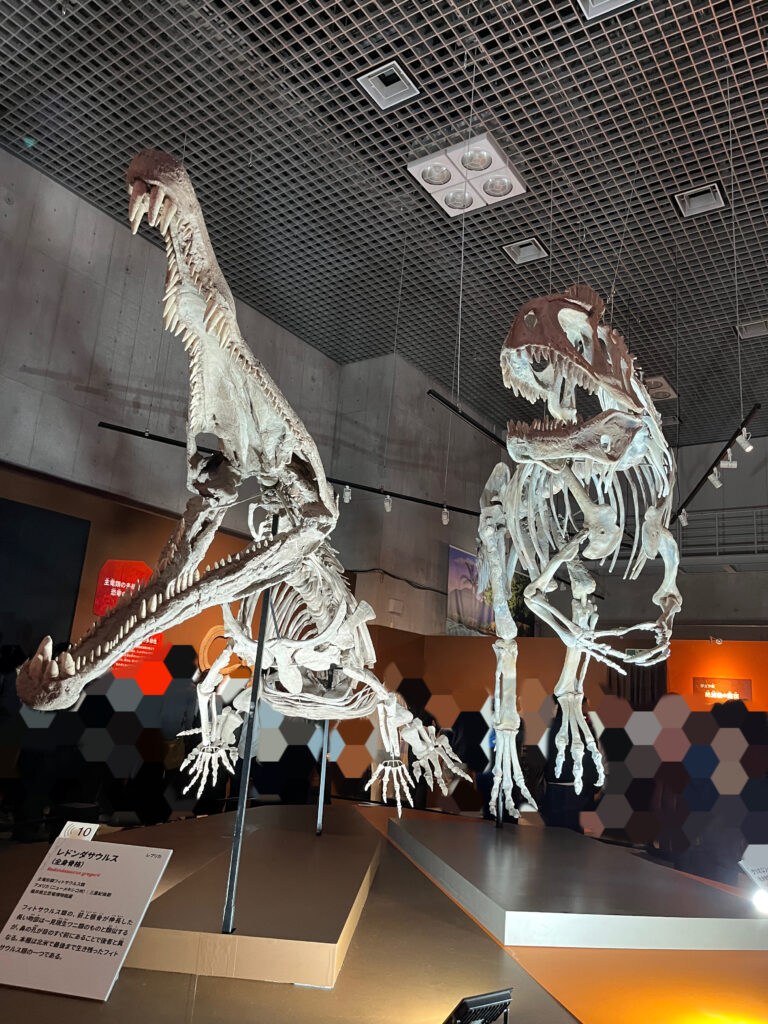 レドンダサウルスとクリオロフィサウルス